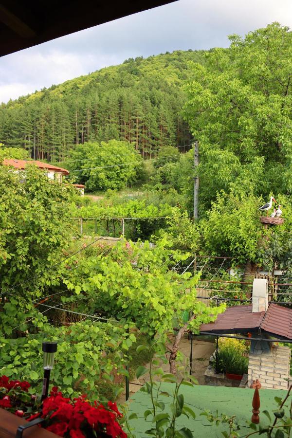 Green House - Попниколови Сапарева Баня Екстериор снимка